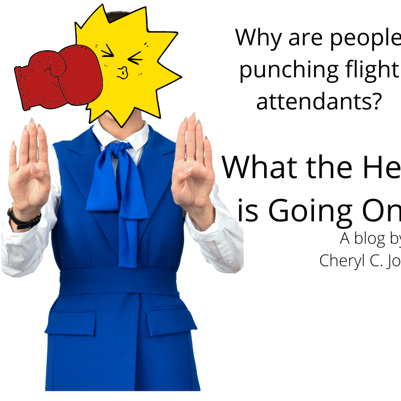 Why are people punching flight attendants